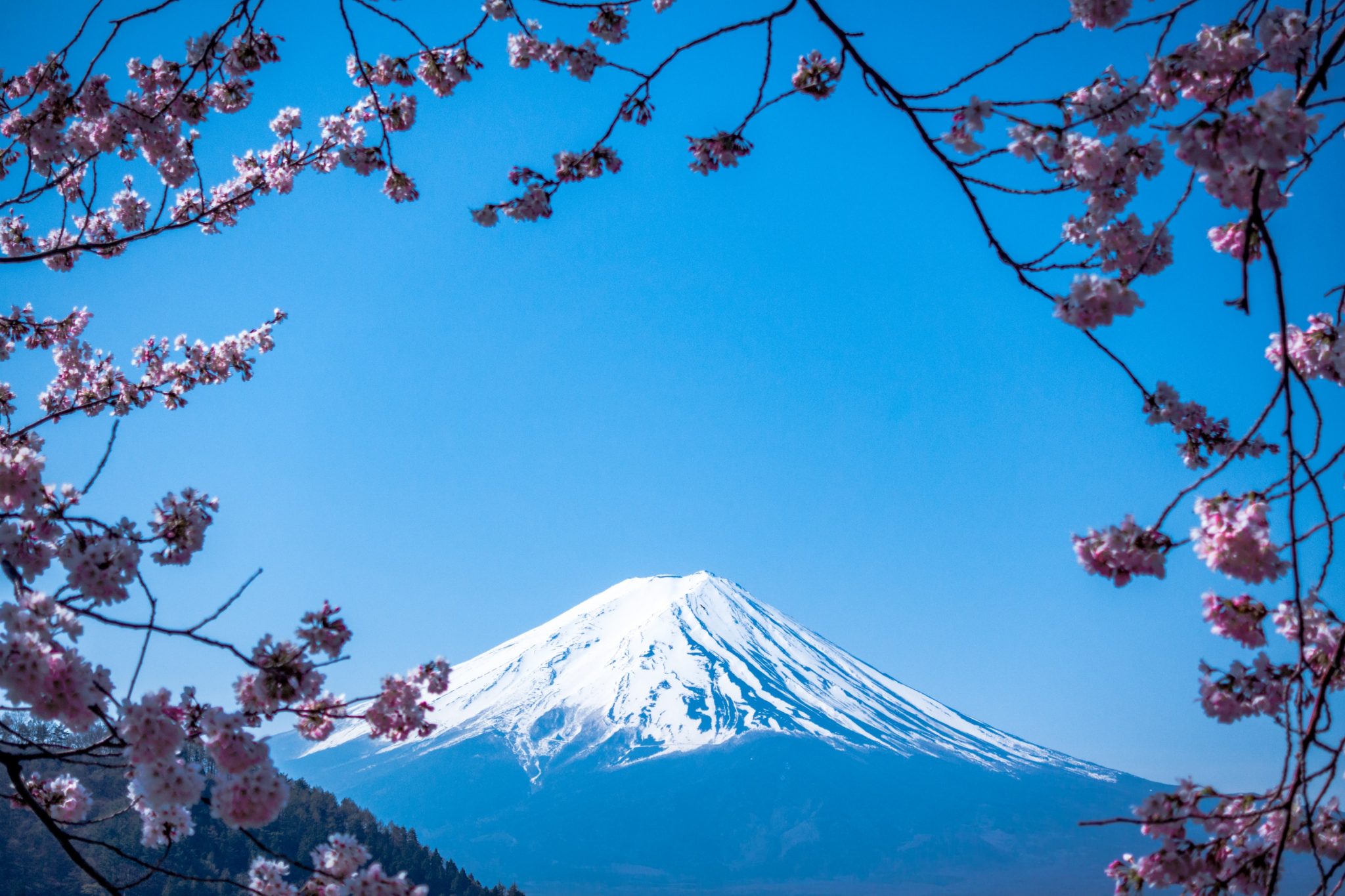 20 Beautiful Japanese Baby Girl Names And Their Meanings