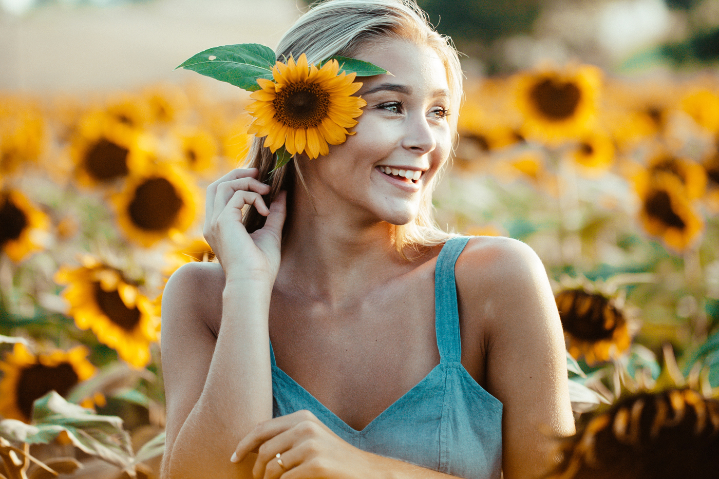 The best places to see sunflowers in the UK