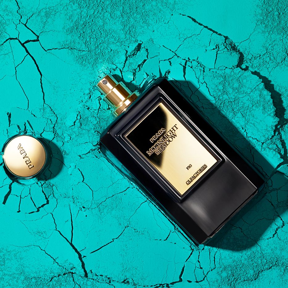 prototype Uitwerpselen Shipley Just landed: The fashion house fragrances you need to try