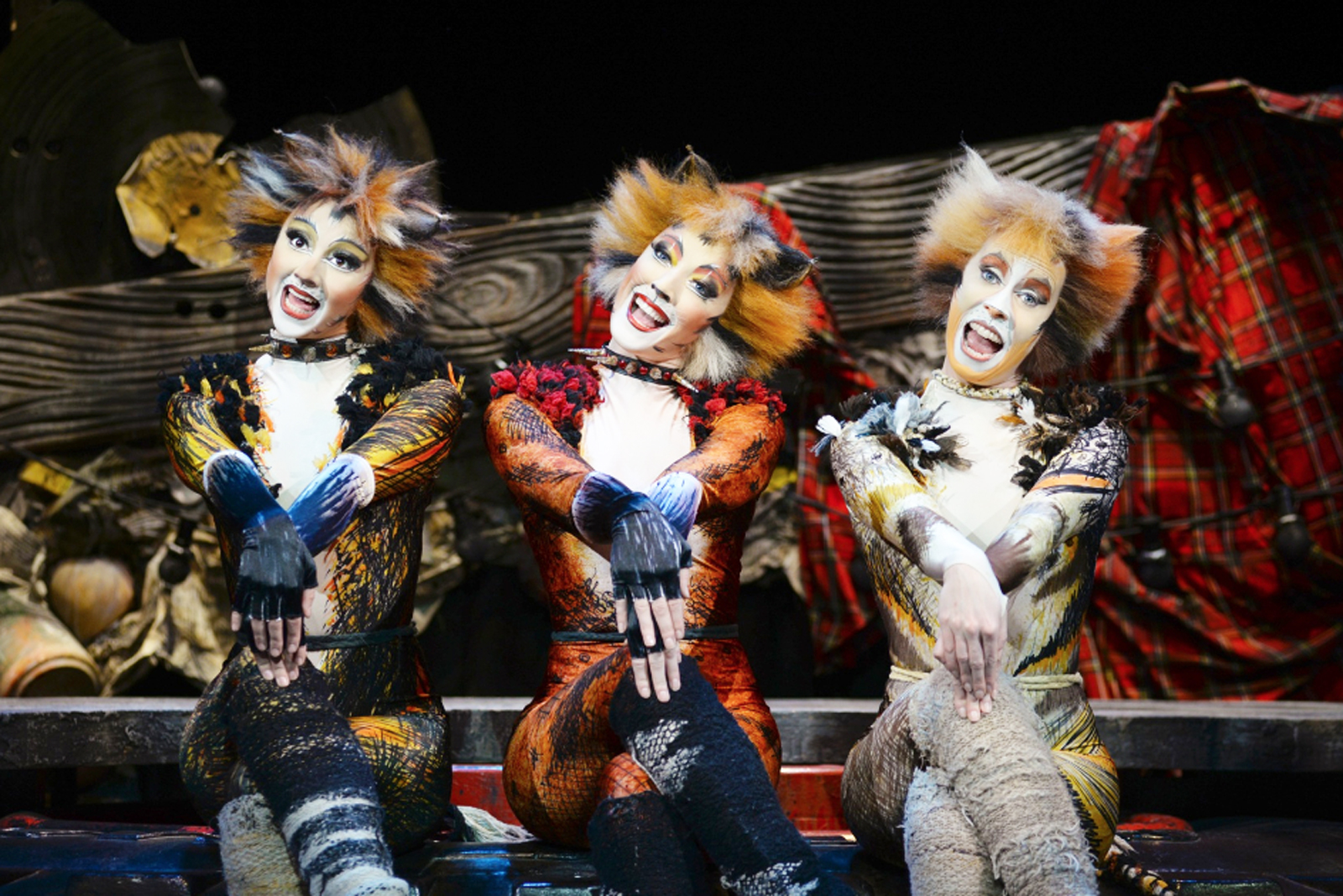 What is Cats the musical actually about?