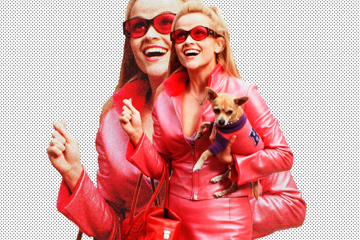 Movie full legally blonde Legally Blonde
