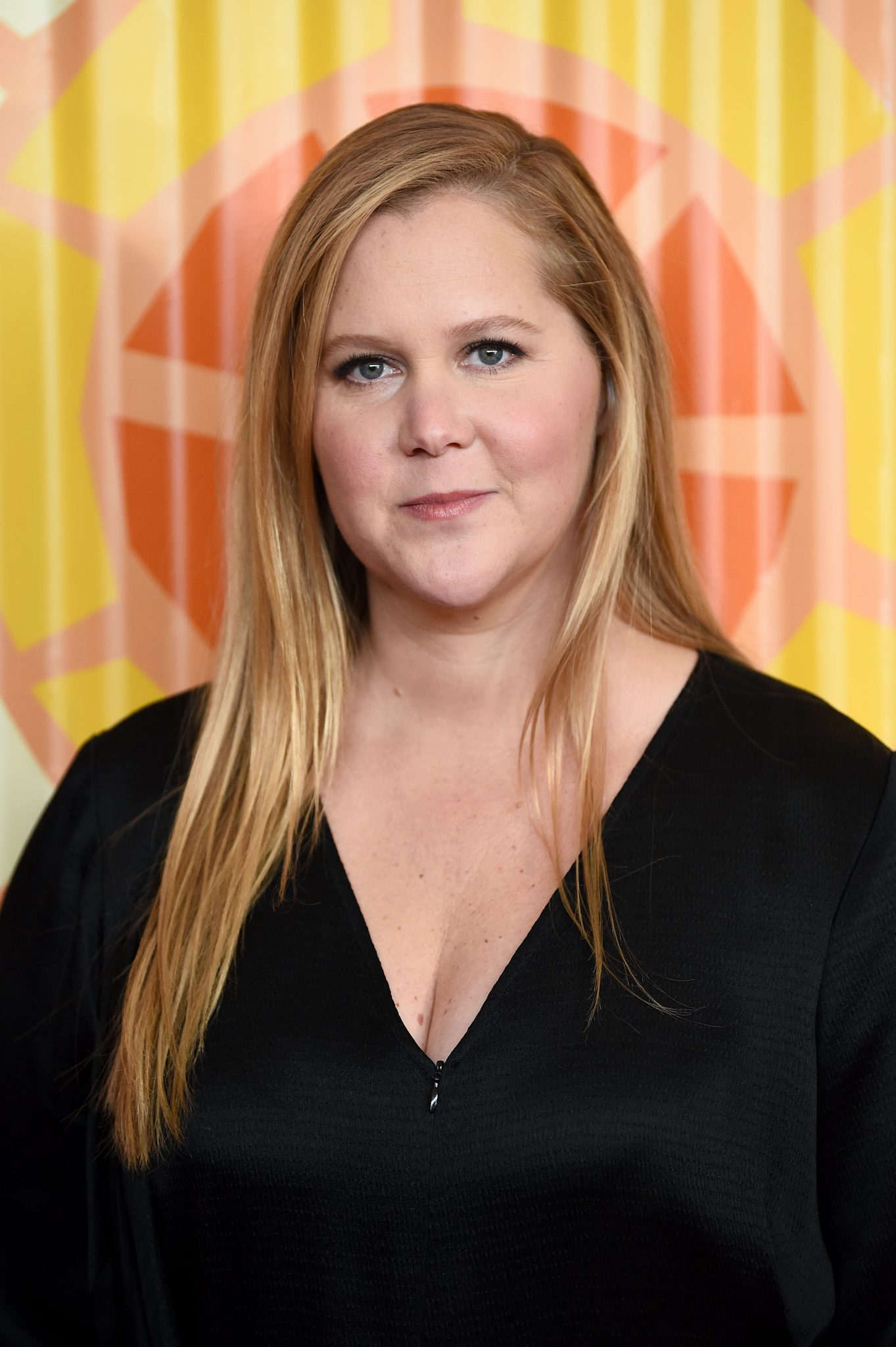 Amy Schumer Ivf Treatment Revealed In Intagram Post