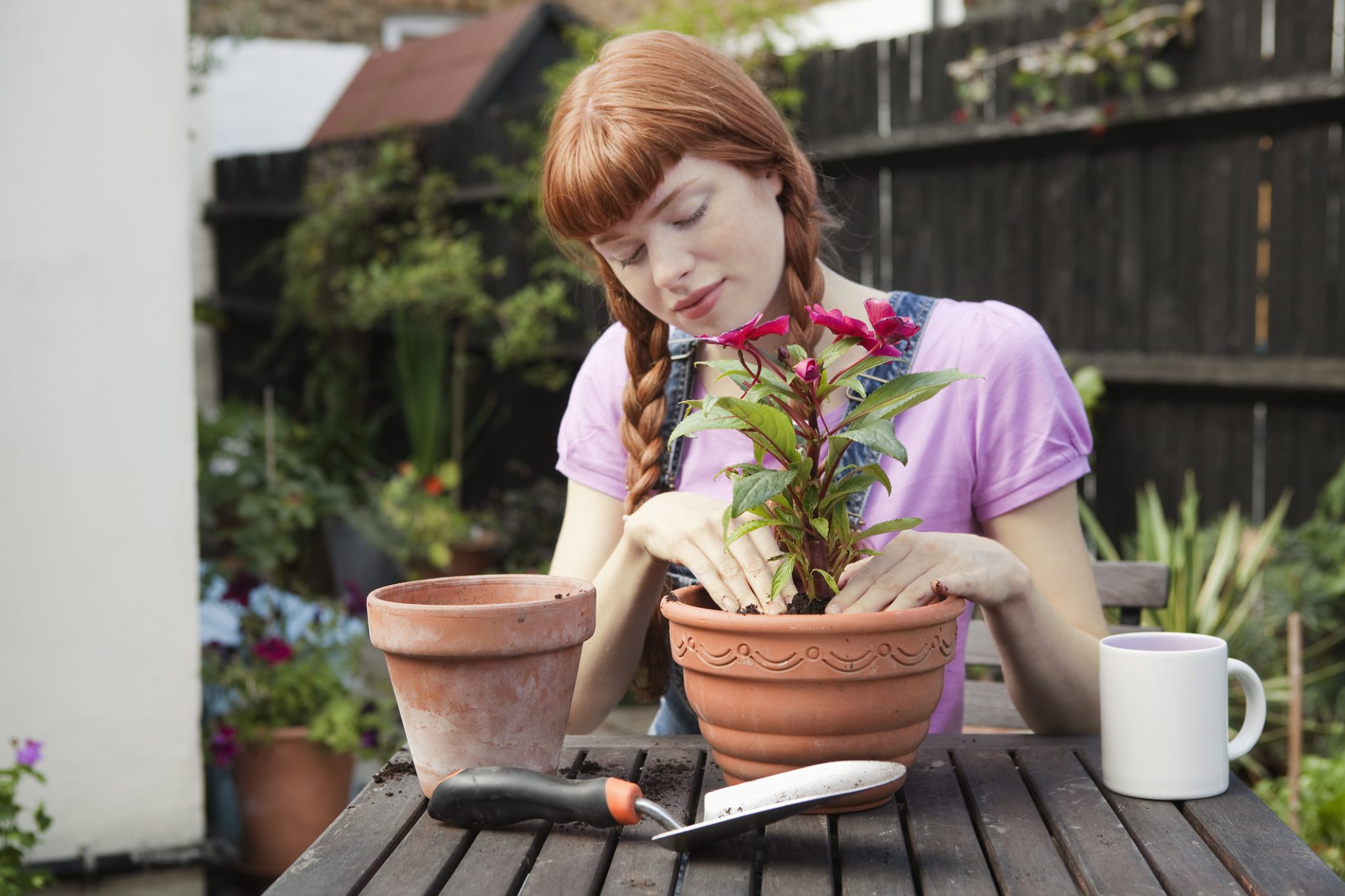 Gardening Kits For Beginners For Planting Seeds At Home