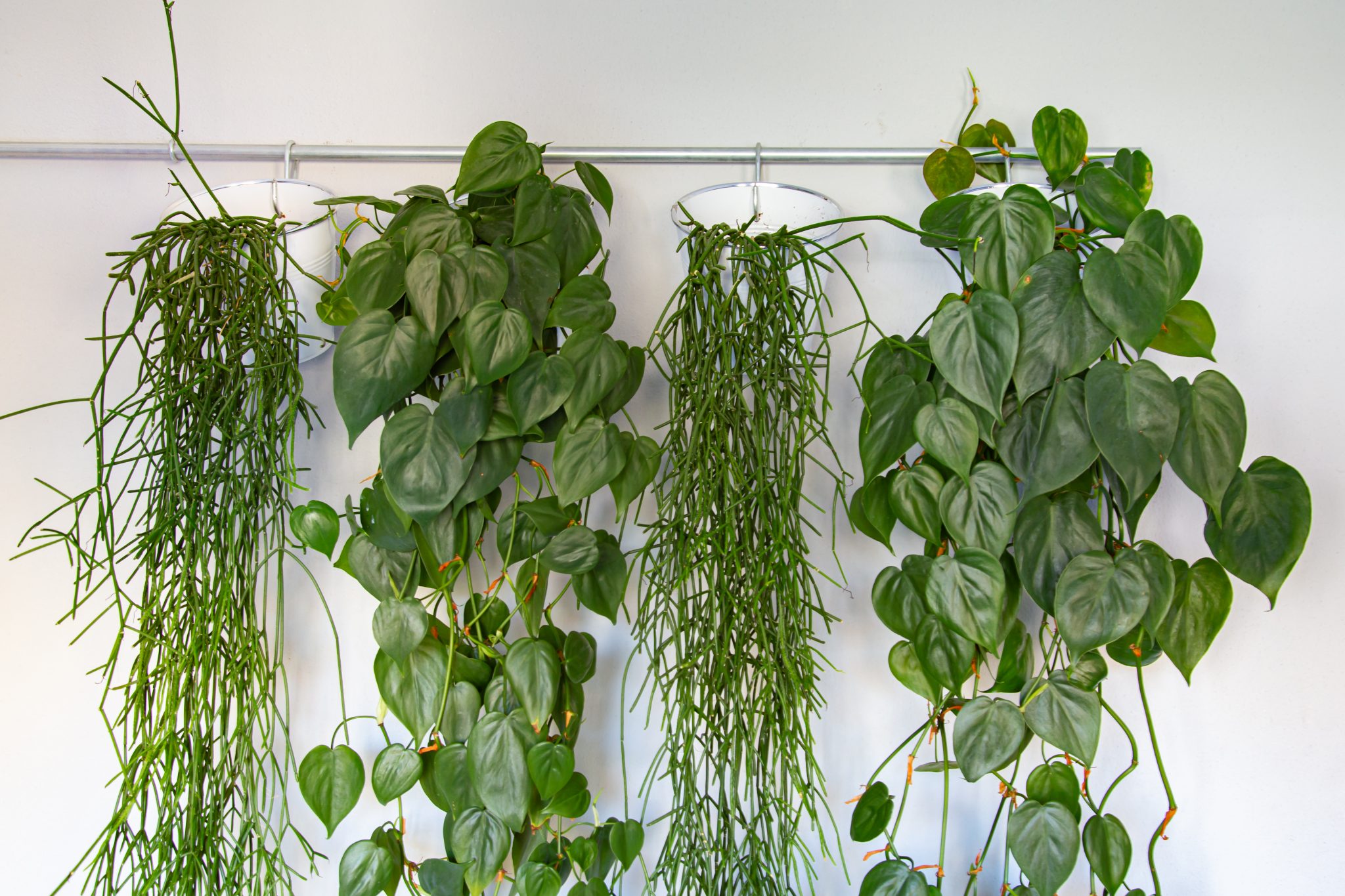 hangling shelf in living room