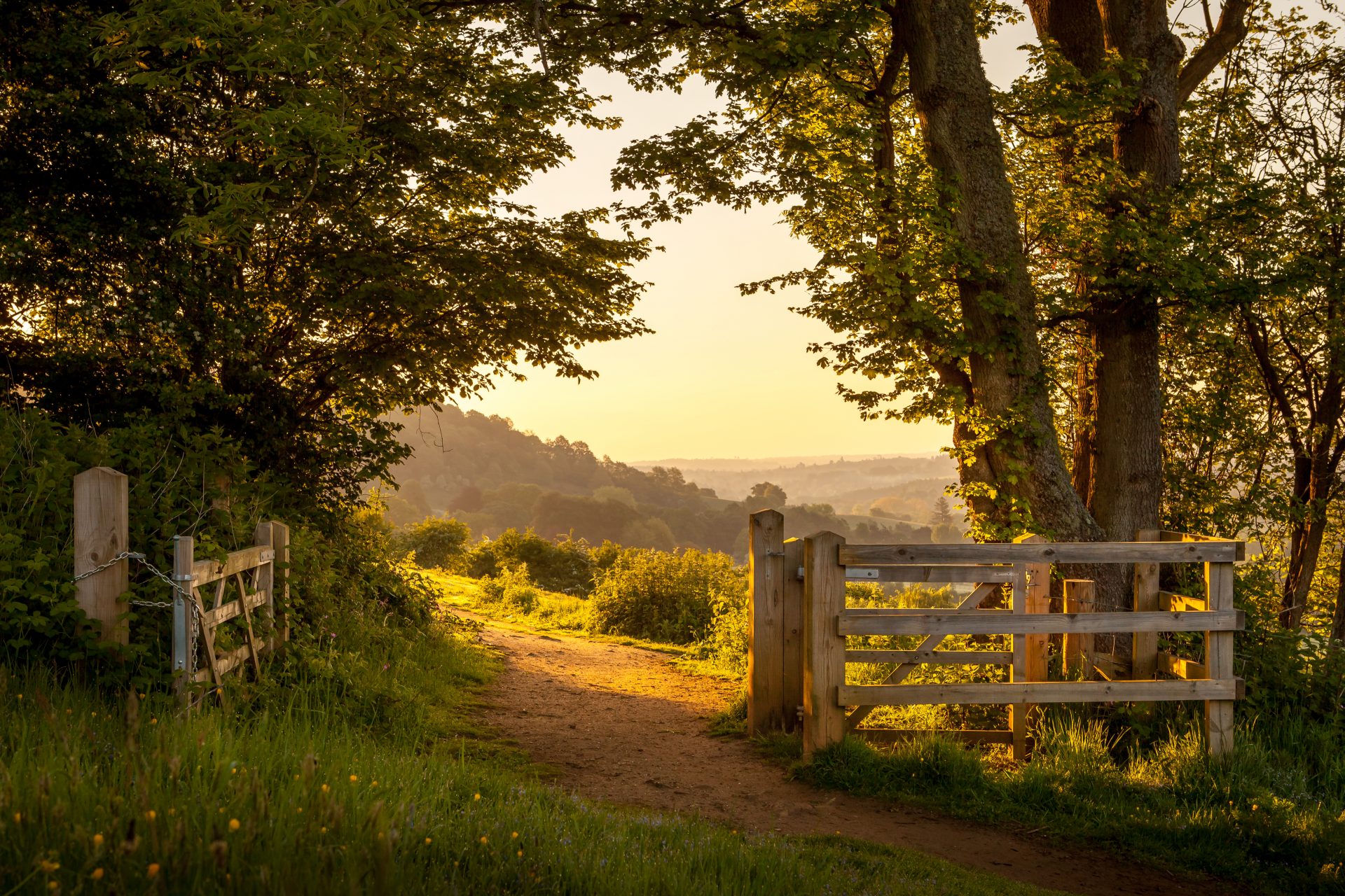 tour to countryside