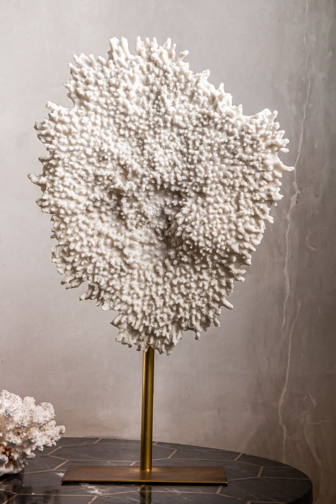 Best coral ornaments to add to your home