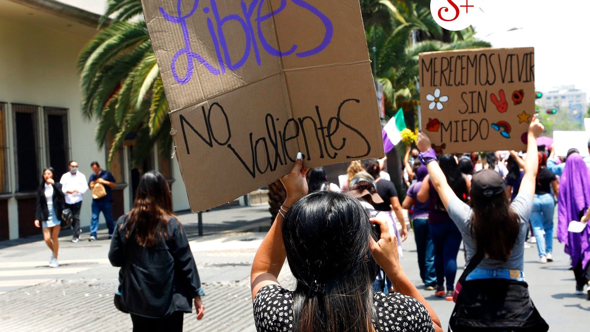 Meet The Women Fighting Gender-based Violence In Mexico