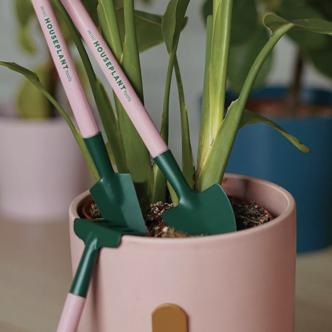 Best tech gadgets for indoor plant lovers - PlantMaid