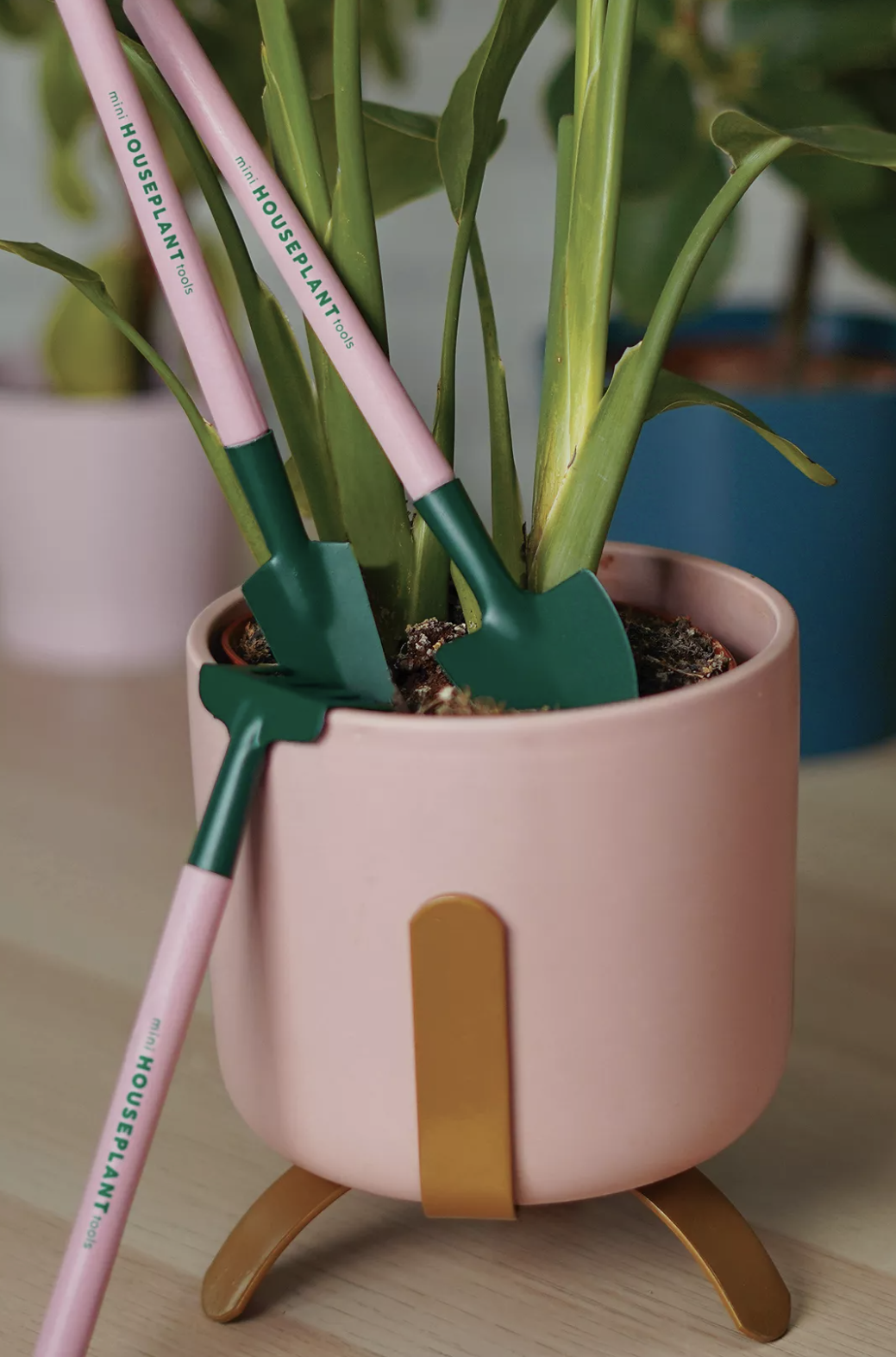 https://images-stylist.s3-eu-west-1.amazonaws.com/app/uploads/2022/11/07100309/gifts-for-plant-lovers-mini-houseplant-tools.png