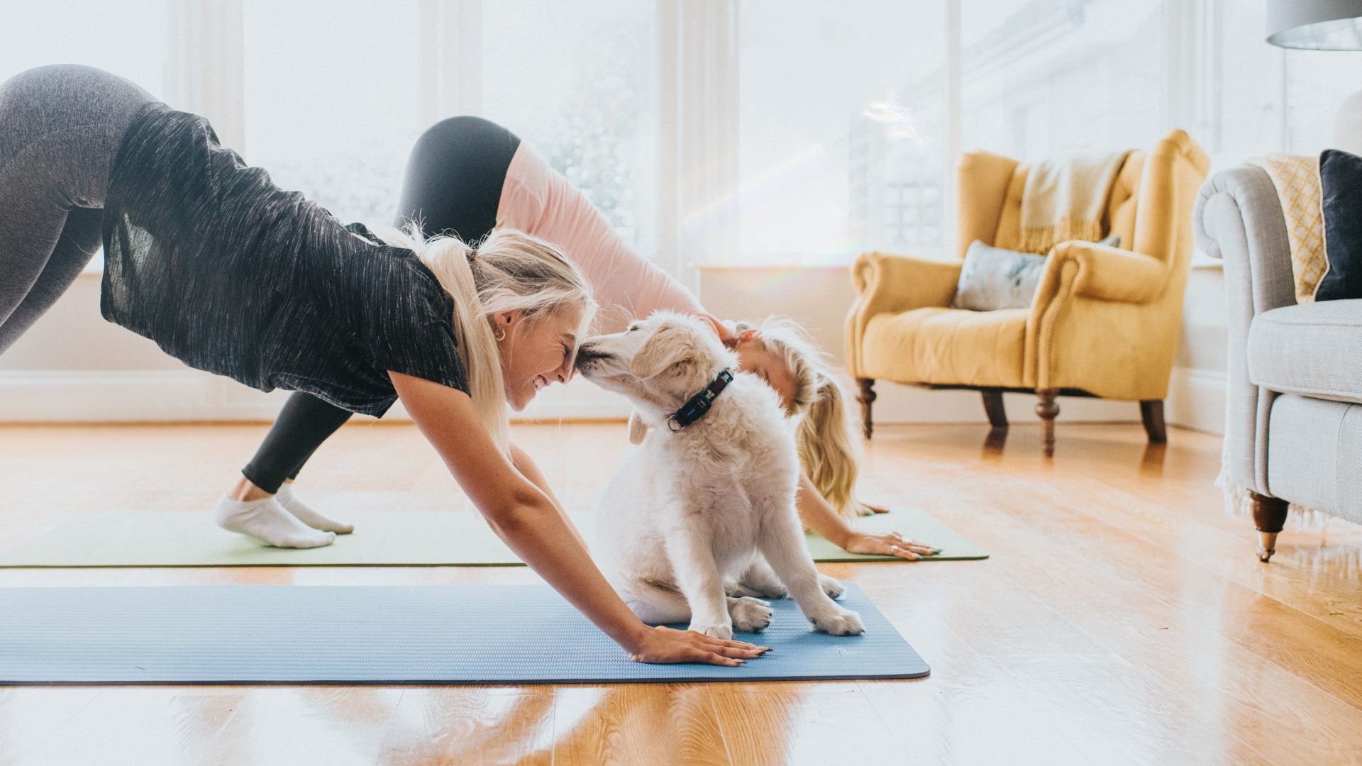 Puppy yoga: what it is, the benefits and is it ethical?